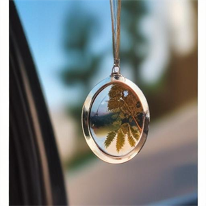 Car Fragrance